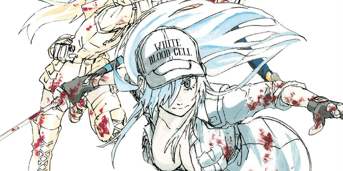 best girl white blood cell : r/CellsAtWork